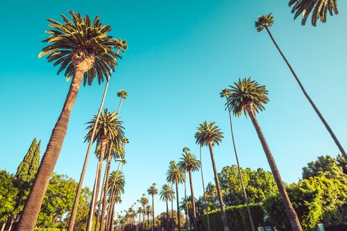Le PÈRE Opens New Shop in Los Angeles' West Hollywood