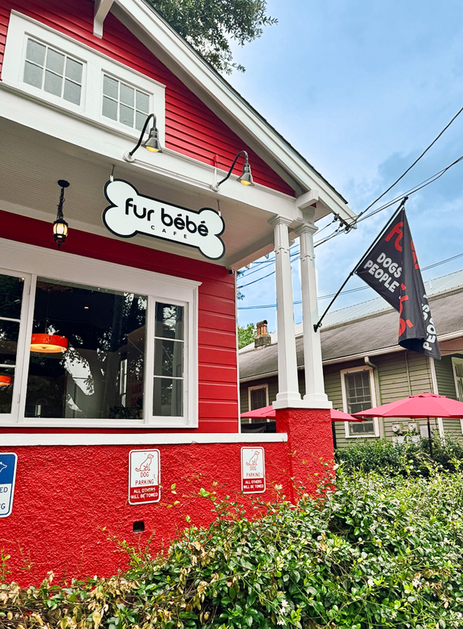 Fur Bebe Cafe Transforms Former Office into Dog-Friendly Destination (image 3)