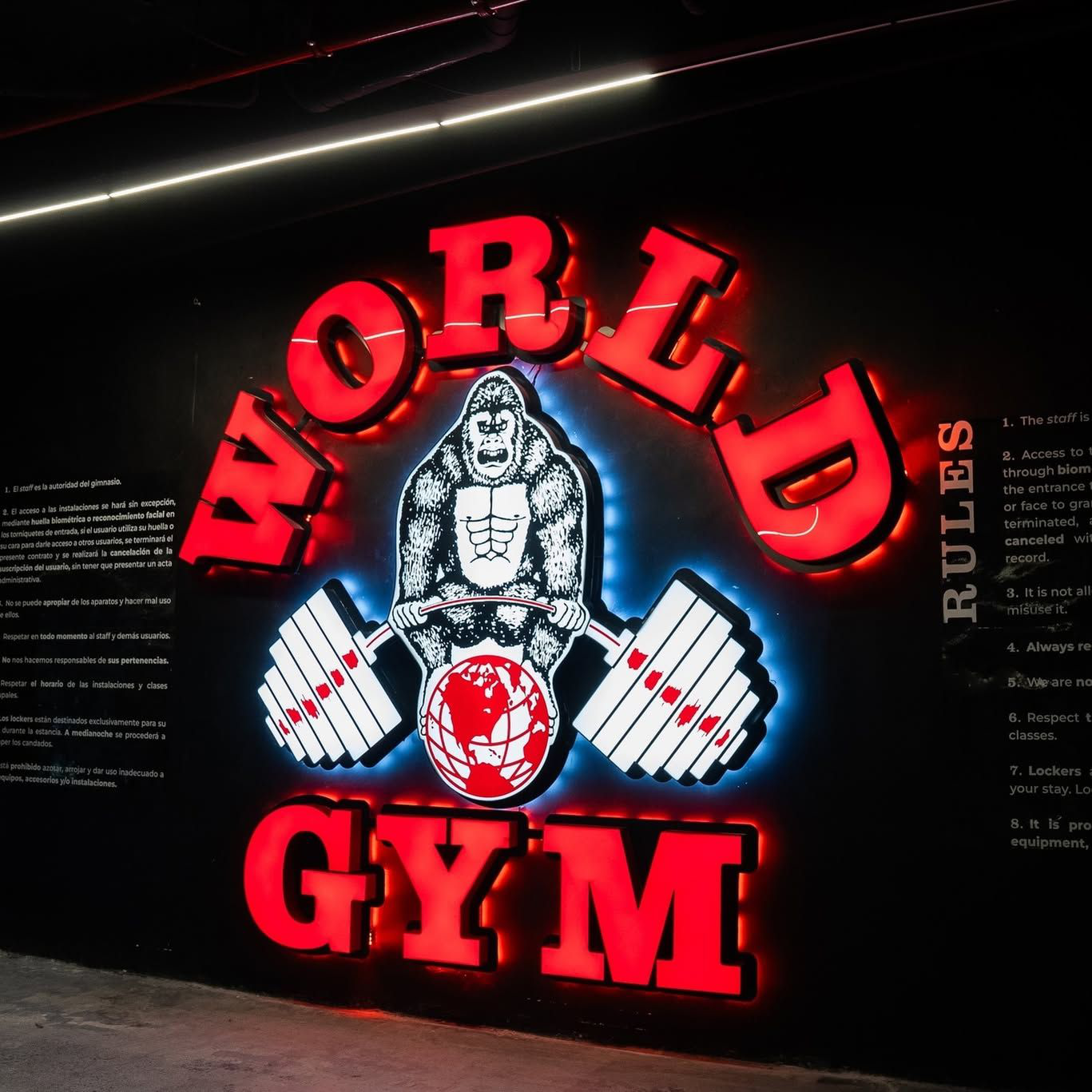 World Gym International logo
