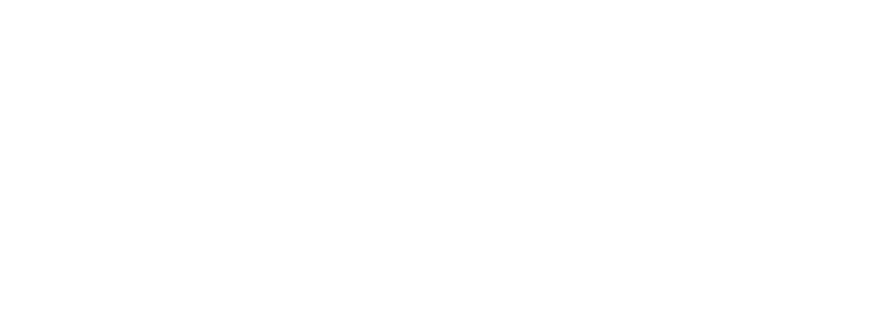 Bingz logo