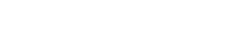 Lifetime Fitness logo