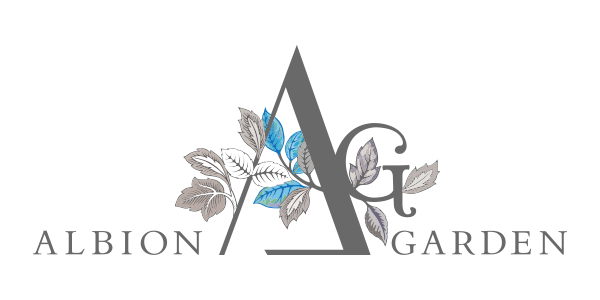 Albion logo