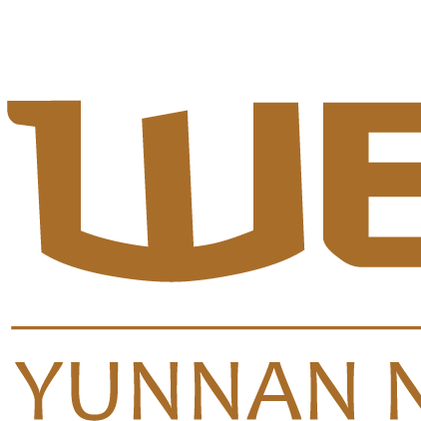 Wen's Yunnan Noodle logo