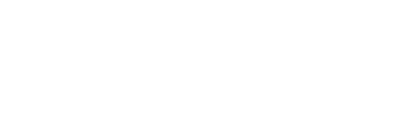 Argon & Co. logo