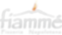 Fiamme Naperville logo