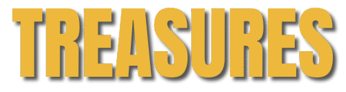 Treasures Naperville logo