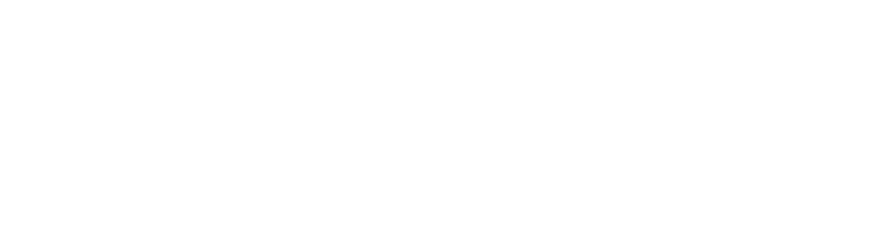 Leap logo