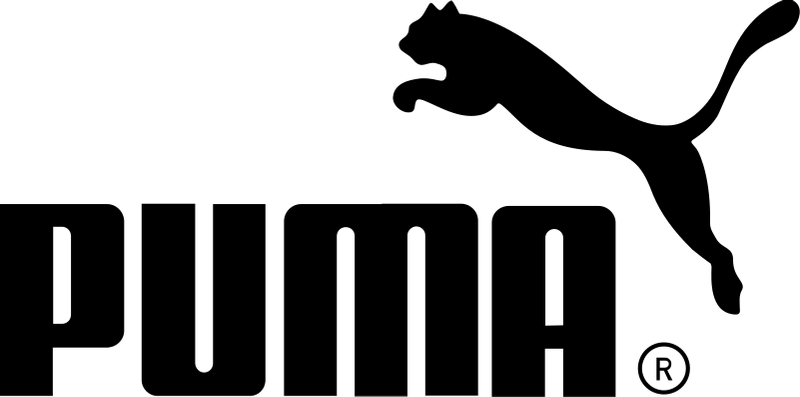 Puma Flow logo