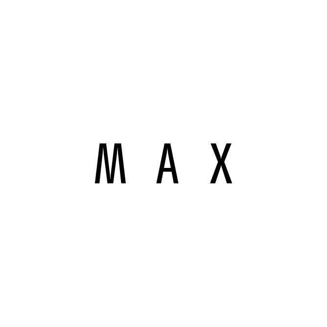 MAX Clothing Store logo
