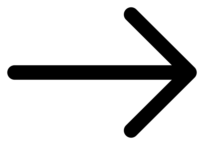 Tennis Village logo