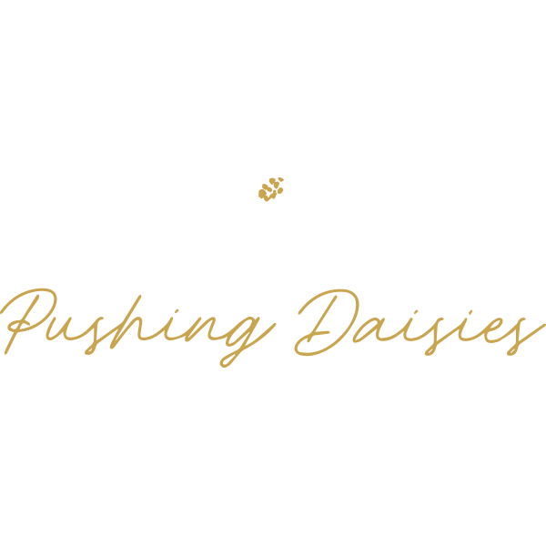 Pushing Daisies logo