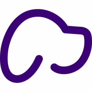 Skiptown logo