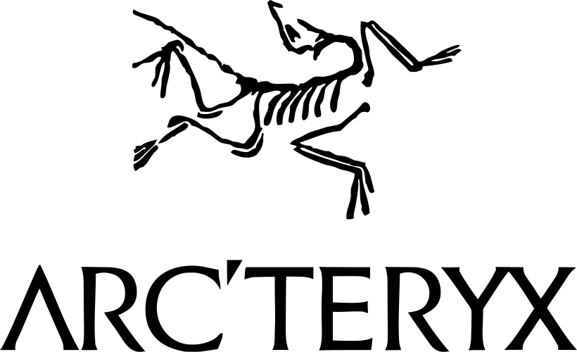 Dr. Wholesome's Academy logo