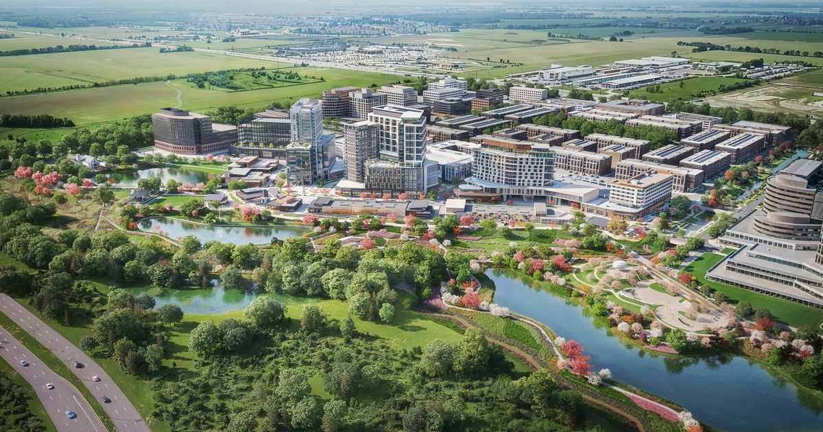 Firefly Park | Brandmarch